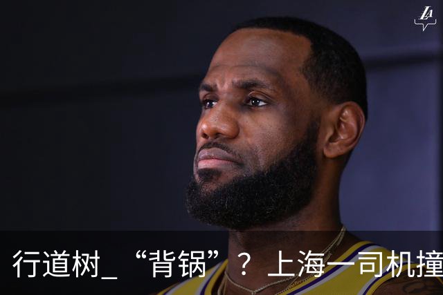 行道树 “背锅”？上海一司机撞树后主张树木全责，结果来了