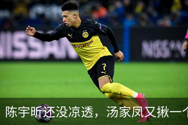 陈宇昕还没凉透，汤家凤又揪一个“精日”人员：竟然还是公司老板