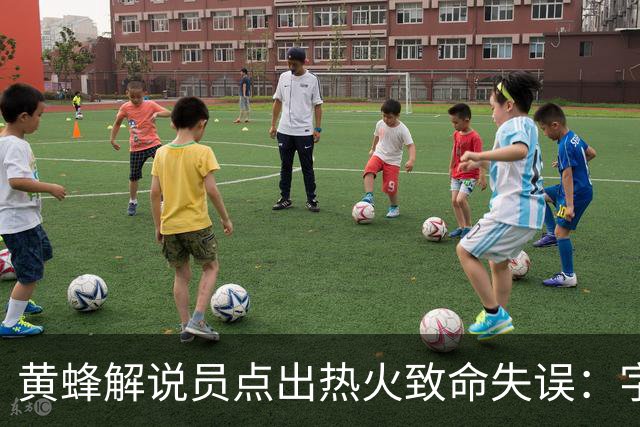 黄蜂解说员点出热火致命失误：字母哥下场时势头正好