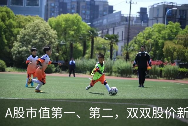 A股市值第一、第二，双双股价新高